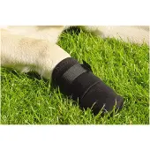 Beeztees Bz Protection Pour Pattes Noir Pack De 2 (Chien)