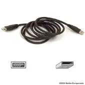 Belkin Câble de transfert de données USB F3U134B06 - 1,83 m - 1 paquet
