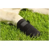 Beeztees Bz Protection Pour Pattes Noir Pack De 2 (Chien)
