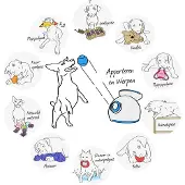 All For Paws Interactive Fetch mini (Jouet à lancer pour chiens)