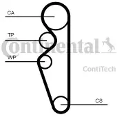 CONTITECH Courroie de distribution CONTINENTAL CT1164