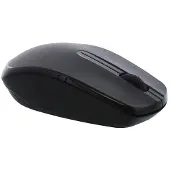 T'nB MS2UW souris