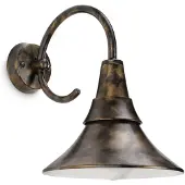 Philips myGarden Applique d'extérieur Fowl Rustique Économie d'énergie 17258-42-16
