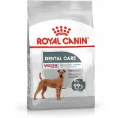 Royal Canin Medium Dental Care - 3 kg