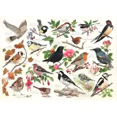 The House of Puzzles Puzzle 1000 Teile Birds in My Garden Puzzle