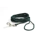 Beeztees Bz Laisse De Terrain En Nylon Vert Dans Le Bli (Chien, Général)
