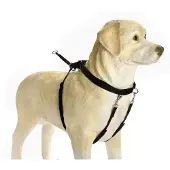 Beeztees Bz Gentle Walker Noir Grand (L, Chien, Promenade)
