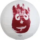 Wilson Ballon Beach-Volley Seul au monde
