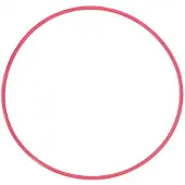 Olympus POL-050 Joint torique