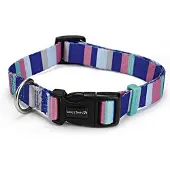Beeztees BZ NYLON HALSBD STRIPES 48-70X (48, 49, 50, 52, 54, 56, 58, 60, 62, 68, Chien, Général)