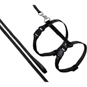 Flamingo Asp Harnais Chat+Laisse Noir 110cm