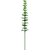 Europalms Eucalyptus en cristal, plante artificielle, vert, 81cm 12x (81 cm)