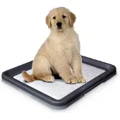 Nobby Doggy Trainer (Chien)