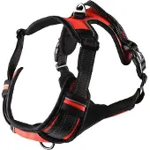 Flamingo Harnais Pour Chien Balou