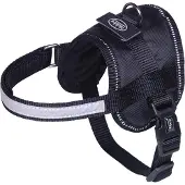 Nobby Vaisselle Seguro Mini (S, Chien, Promenade)