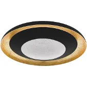 Eglo 98527 CANICOSA 2 LED plafonnier 24,5W Ø495mm noir or transparent CCT couleur de lumière réglable dimmable