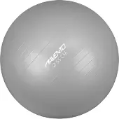 Avento Gymnastics Fitball Argenté 65 cm