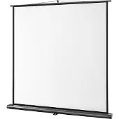 Celexon Ultramobil Professional, écran (66.93", 1:1), Écran de projection, Noir