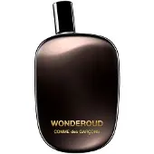 Comme des Garcons Wonderoud Vaporizer 100ml Eau De Parfum Noir Homme
