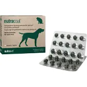 Nutravet Nutracoat 45 gélules pour une peau et un pelage sains chez les chiens et les chats