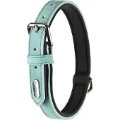 Flamingo Delu Halsband mit Neoprenpolsterung grün M/L (L, M, Chien)