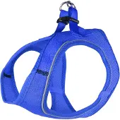 Flamingo Vaisselle Step & Go Bento bleue, taille : M