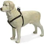 Beeztees BZ VAISSELLE MACL NOIR 2560-10 (Chien, Promenade)