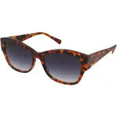 Hawkers Bhanu Sunglasses Marron