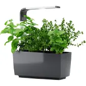 Tregren T6 Potager (17.50 x 17.50 x 44 cm)