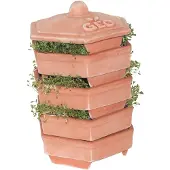 GEO Terradisiena Germoir Poterie Brun 19 x 19 x 31 cm