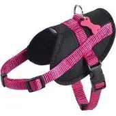 Non renseignée Harnais Easy Safe Fuschia Xs 31 A 43 Cm