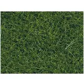 Noch Herbe sauvage foncé, 9 mm, 50 g
