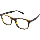 Polaroid Lunettes de Vue PLD D424 50/21/145 Havana Cellulose propionate MAN PLD D424