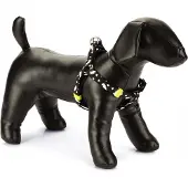Beeztees Bz Nyl Harnais Tonnerre Sw 26- (Chien, Général)