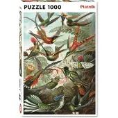 Piatnik Puzzle 1000 pièces Haeckel Colibris