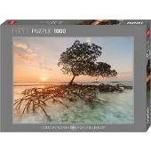 Heye Mangrove rouge