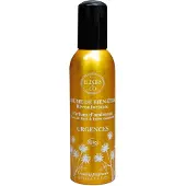 Elixirs & Co Brume de Bien-Être Urgences Bio 100 ml Spray