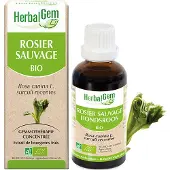 Herbalgem - Rosier Sauvage Bio - Complément Alimentaire - Extrait De Bourgeon Frais - Pour Défenses Naturelles - - 30 ml 30 ml Goutte(S)