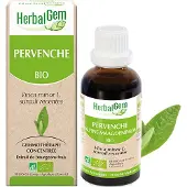 Herbalgem - Pervenche Bio - Complément Alimentaire - Extrait De Bourgeon Frais - Pour Mémoire & Concentration - - 30 ml 30 ml Goutte(S)