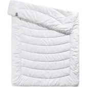 TB Bettwaren Greenline Cycafill ECO léger (400 g, Polyester, 200 x 200 cm)