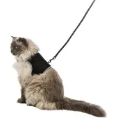 Trixie Harnais pour chat avec la laisse XL, 36–54 cm