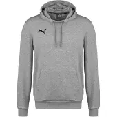 Puma Teamgoal 23 Causals Hoodie Gris S Homme