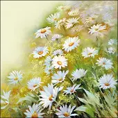 Generique 20 SERVIETTES PAPIER CHAMPS MARGUERITES 33CM