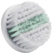 Remington Brosse Remplacant Fc1000