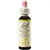 Nelsons GmbH Fleur de Bach Chestnut Bud, 20 ml de solution