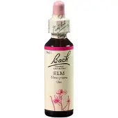 Bach Fleurs de Bach Original n° 11 Orme d'Elm gouttes, 20 ml de solution