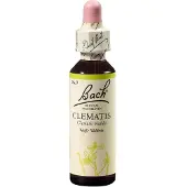 Nelsons GmbH Fleurs de Bach Original n° 9 Clématite blanche gouttes, 20 ml de solution