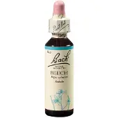 Nelsons GmbH Fleurs de Bach Original n° 3 Beech, hêtre rouge, gouttes 20 ml