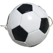 Sportx Voetbaltrainer 140 gr + Koord 150 cm
