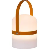 Lucide Lampe d'extérieur sur pied LED 3 W 2800 K LITTLE JOE 06802/01/43